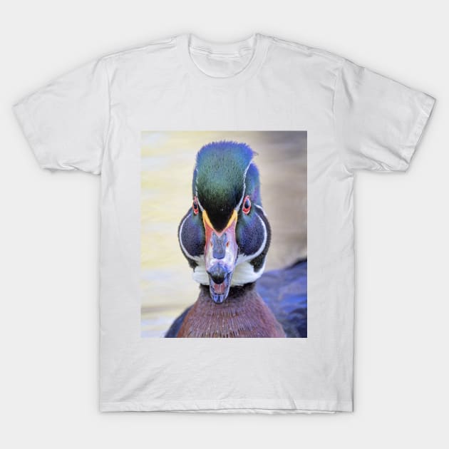 Wood duck closeup T-Shirt by Jim Cumming